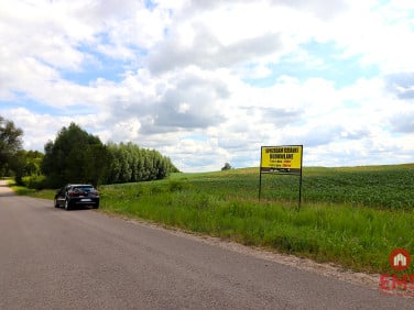 Działka Rożyńsk Wielki