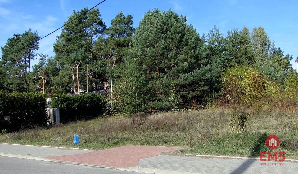 Zdjęcie 3