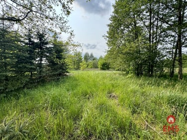 Działka Kosmaty Borek