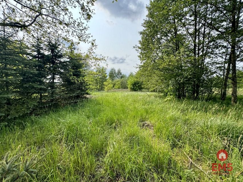 Działka Kosmaty Borek