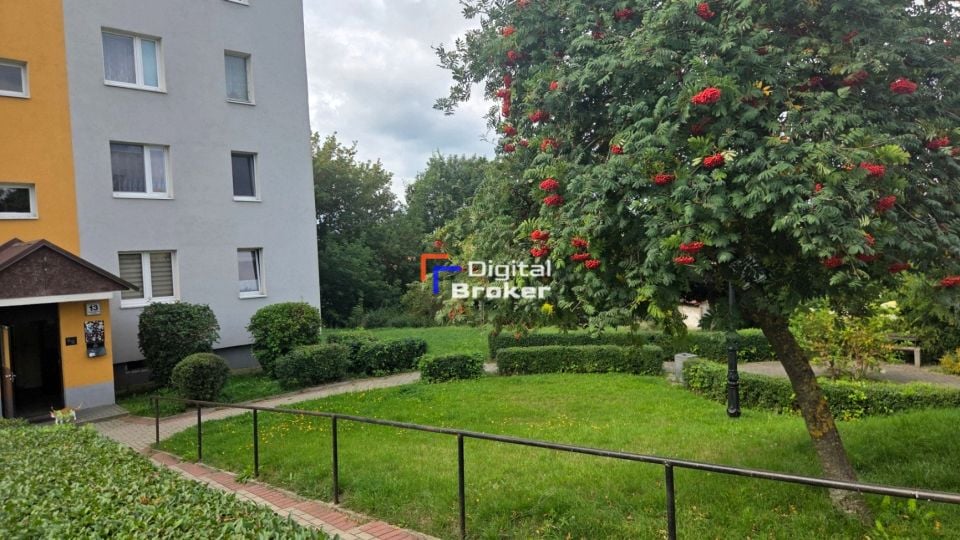 Zdjęcie 2