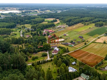 Działka Krzywa