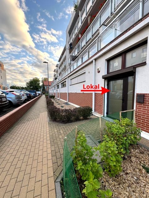 Lokal Toruń