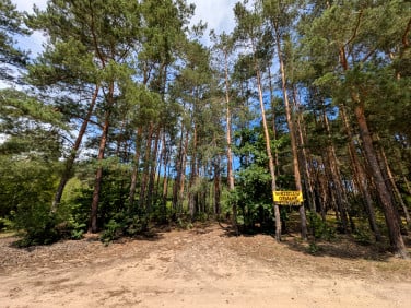 Działka budowlana Grzybów
