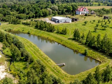 Działka budowlana Tolkmicko