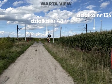 Działka rolna Biadki