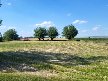 Działka Koszajec, gm. Rybno