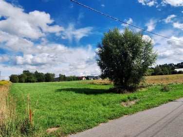 Działka przy lesie