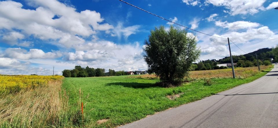 Działka przy lesie