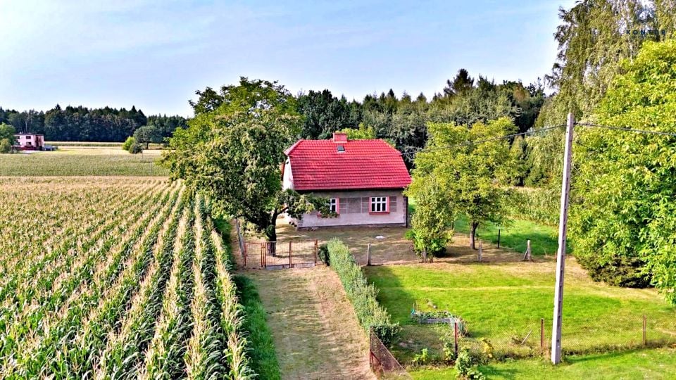 Zdjęcie 3