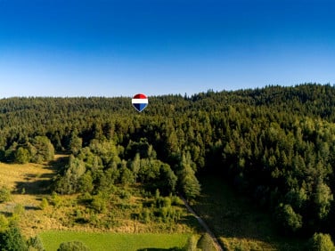 Działka leśna Kasina Wielka