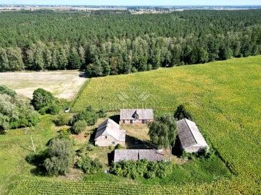 Dom Żółwiny