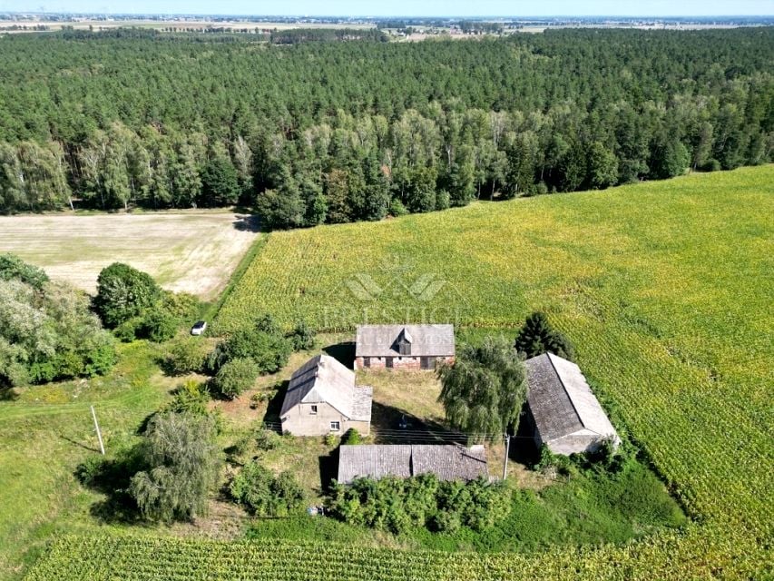 Dom Żółwiny