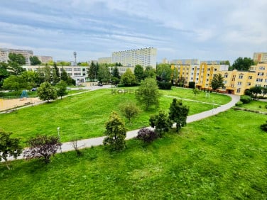 Mieszkanie Toruń