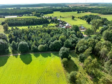 Działka Wola
