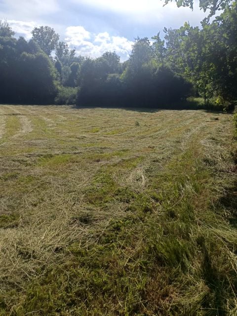 Działka budowlana Białka sprzedam
