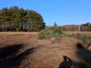 Działka rekreacyjna Biestrzynnik
