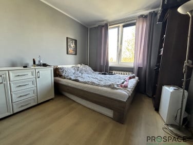 Mieszkanie Zielona Góra