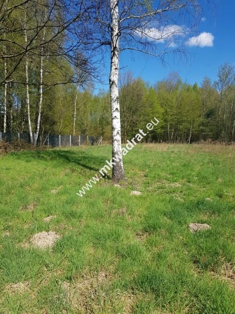 Działka budowlana Budy Mszczonowskie