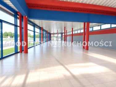 Lokal Krosno