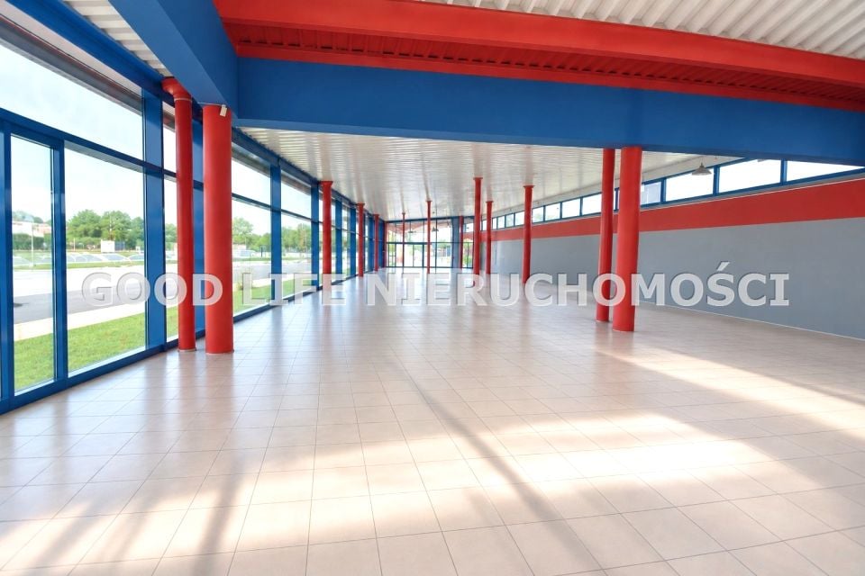Lokal Krosno