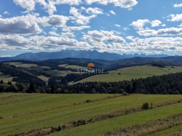 Działka Niedzica