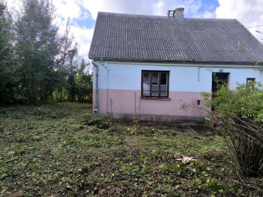 Dom Dąbrówka Kościelna sprzedaż