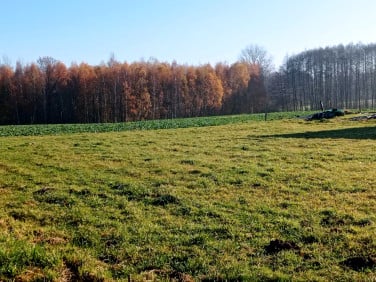 Działka budowlana Inwałd