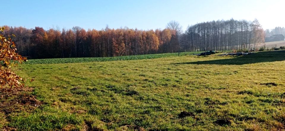 Działka budowlana Inwałd