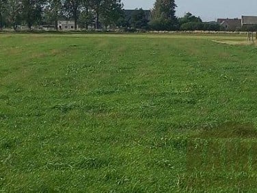 Działka budowlana Opole