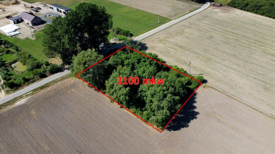 Działka siedliskowa Rzewin