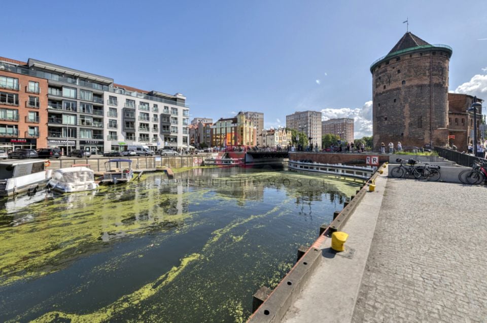 Lokal Gdańsk