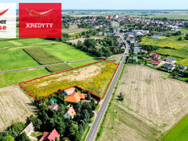 Działka usługowa Kcynia
