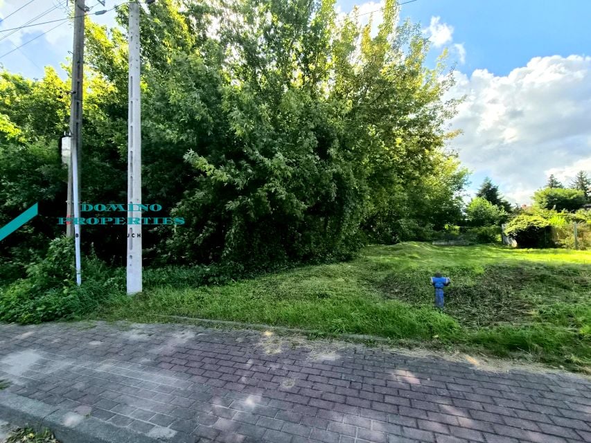 Zdjęcie 4