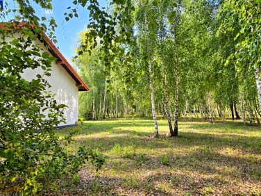 Dom Holendry Baranowskie