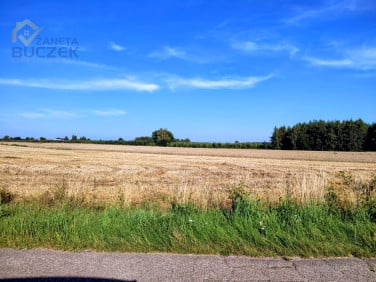 Działka rolna Piskorzec