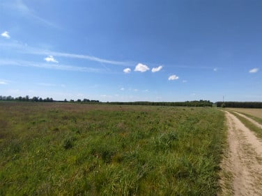 Pusta działka Gryfice
