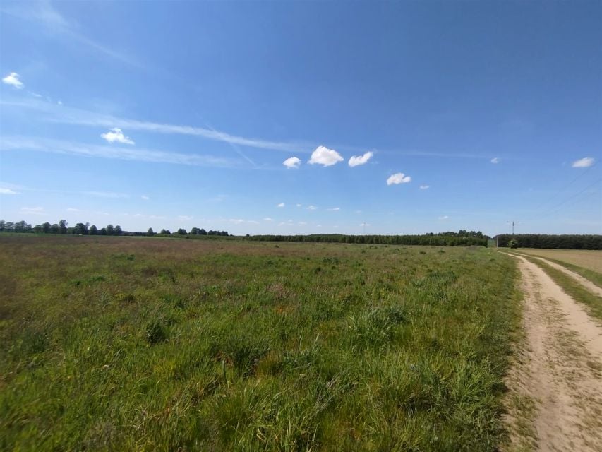 Działka rolno-budowlana Gryfice