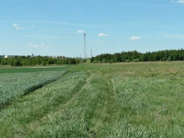 Działka Gryfice