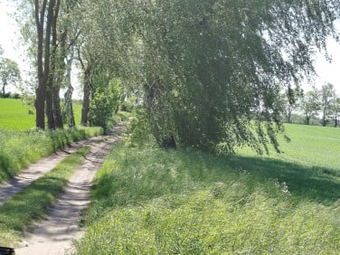 Działka Gryfice