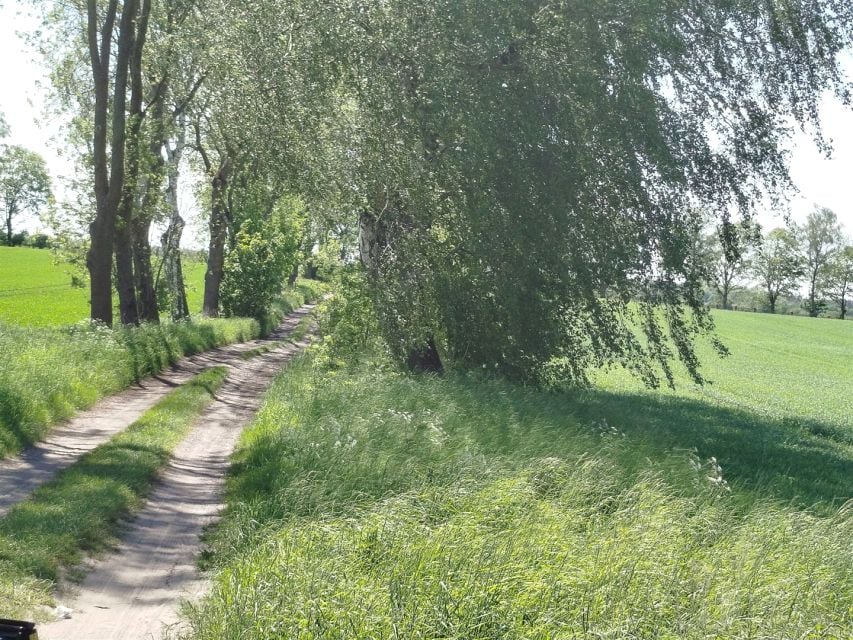 Działka Gryfice