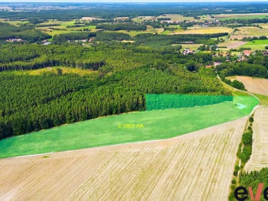 Działka inwestycyjna Wołów