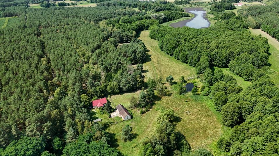 Dom Krzymów