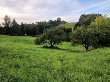 Działka rolna Garliczka