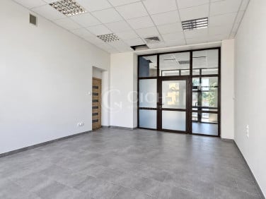 Lokal Tarnów