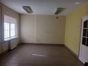 Lokal Chełm