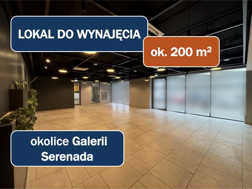Lokal Kraków