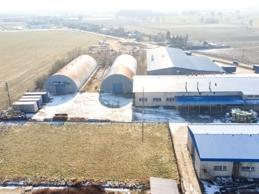 Budynek użytkowy Ozorków