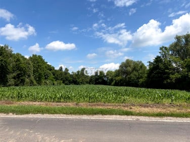 Działka budowlana Żórawina