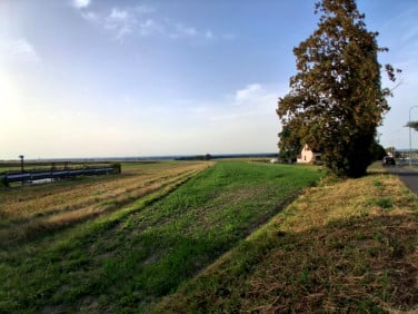 Działka inna Mikołów
